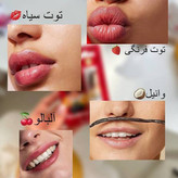 بالم لب کارتی گابرینی