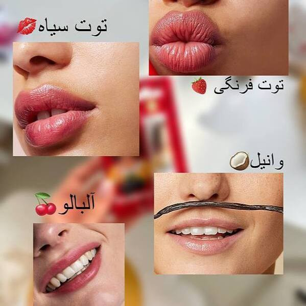بالم لب کارتی گابرینی